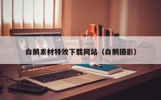 龙口白鹅素材特效下载网站（白鹅摄影）